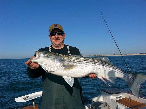 Island Bluefish - On The Water