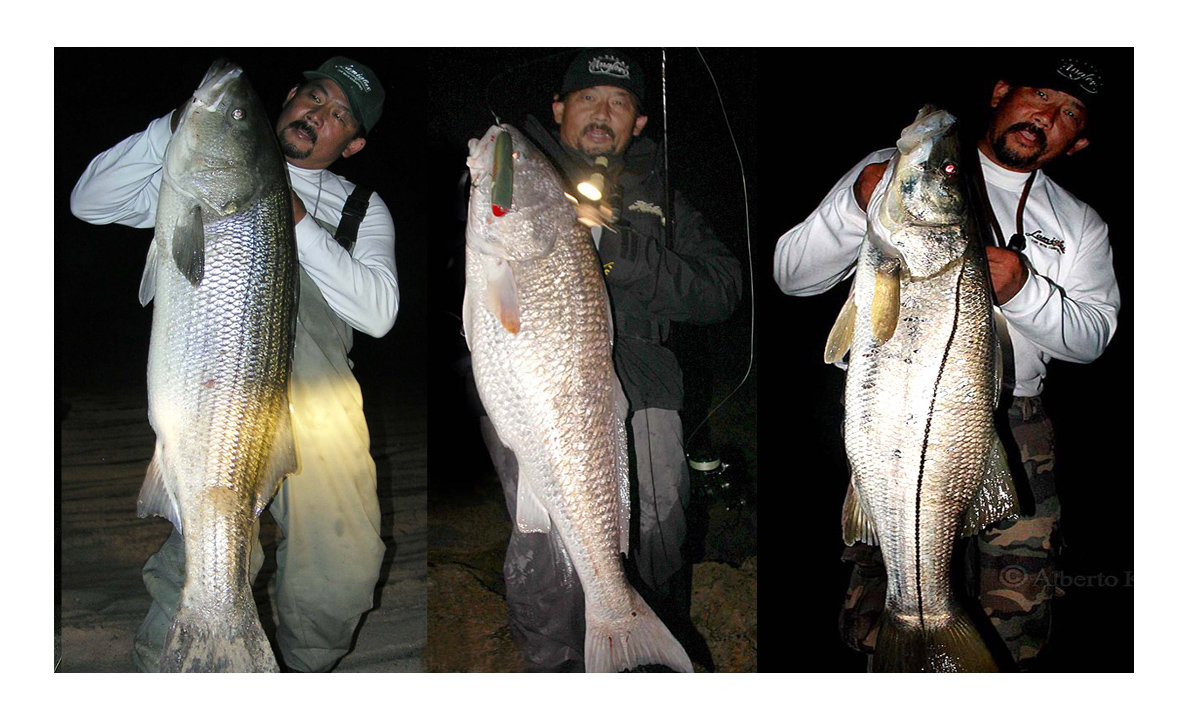 Skimmeroutdoors Fire Island Fishing, Hunting and diving reports